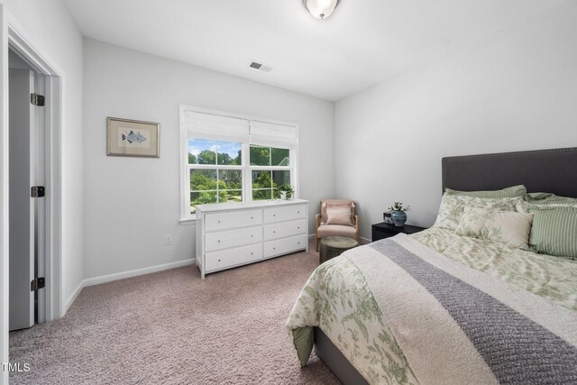 7301 Villoria Ln, Raleigh, NC 27617 - photo 20