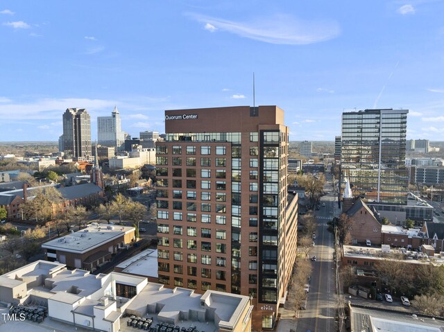 122 N Harrington St Unit 1025, Raleigh, NC 27603 - city view