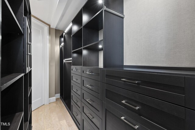 122 N Harrington St Unit 1025, Raleigh, NC 27603 - spacious closet with light wood-style flooring