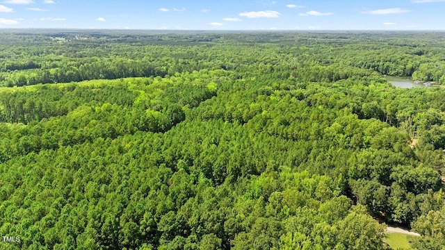 0 Pool Rock Plantation Ln, Henderson, NC 27537