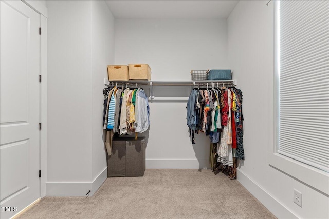 1809 Bowling Rd, Fuquay Varina, NC 27526 - walk in closet with carpet floors
