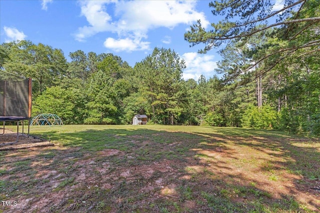 1809 Bowling Rd, Fuquay Varina, NC 27526 - view of grassy yard featuring a trampoline, a storage shed, and a view of trees