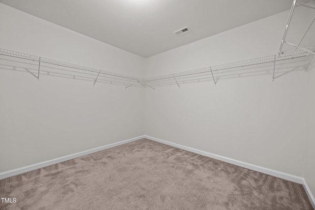 737 Botanical Ct, Bunnlevel, NC 28323 - photo 31