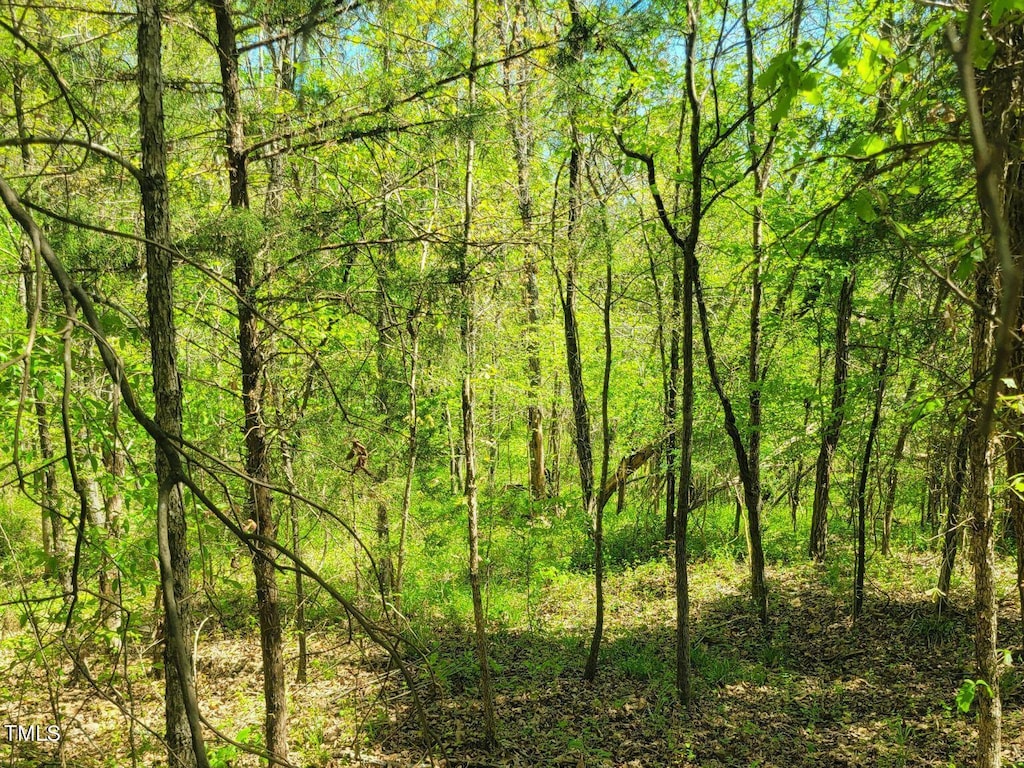 0 High Rock School Rd, Blanch, NC 27212