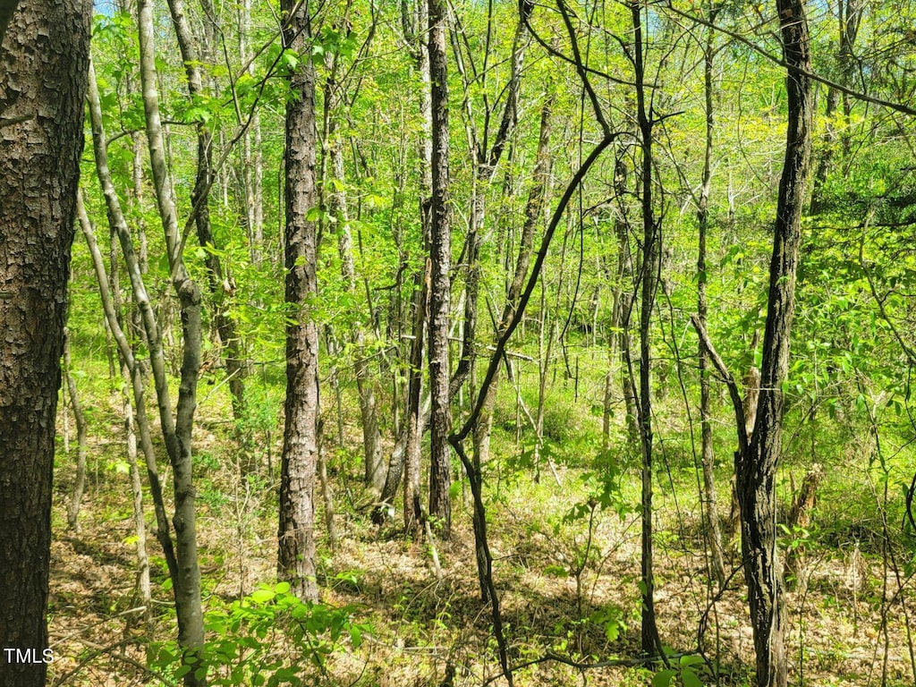 0 High Rock School Rd, Blanch, NC 27212