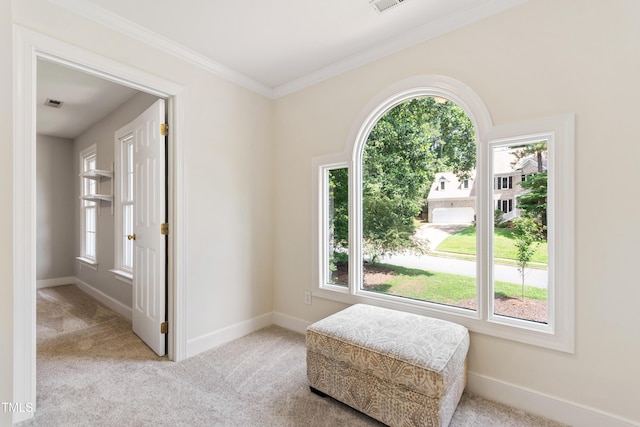 4309 Omni Pl, Raleigh, NC 27613 - sitting room with plenty of natural light, carpet floors, and ornamental molding