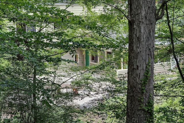 1320 Shepherd St, Durham, NC 27707 - view of nature