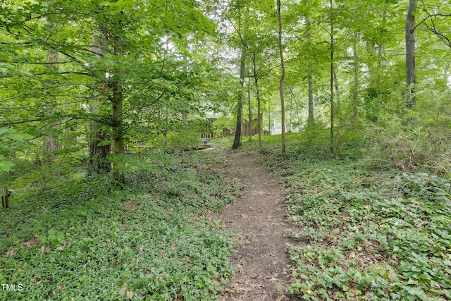 1320 Shepherd St, Durham, NC 27707 - view of woods