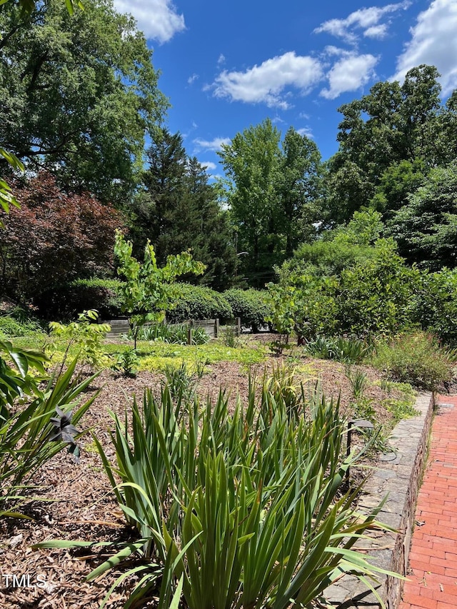 1320 Shepherd St, Durham, NC 27707 - view of yard