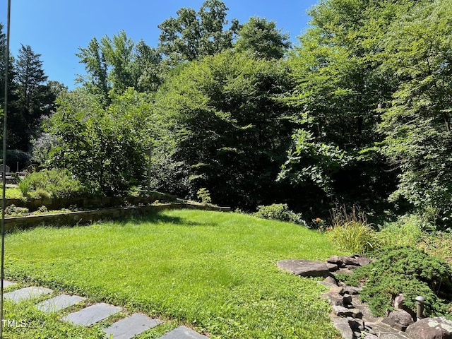 1320 Shepherd St, Durham, NC 27707 - view of yard