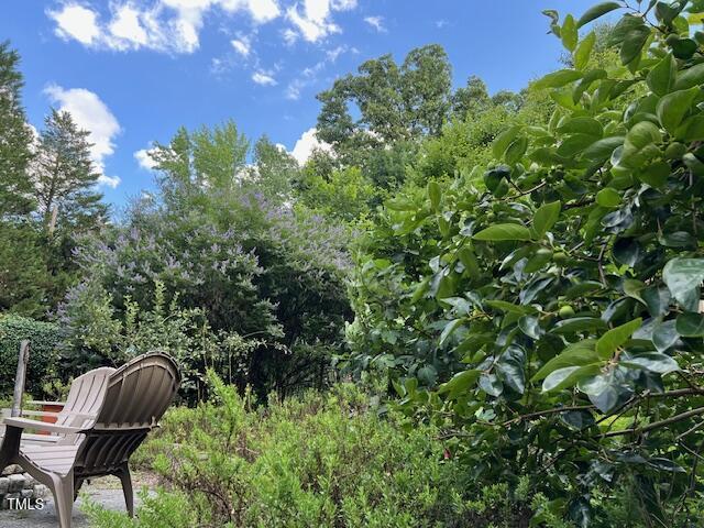 1320 Shepherd St, Durham, NC 27707 - view of yard