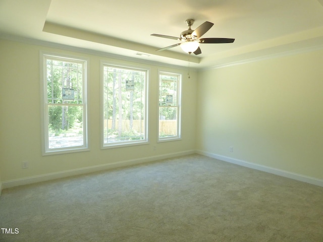 776 Shadetree Rd, Benson, NC 27504 - spare room with a raised ceiling, a ceiling fan, and light carpet