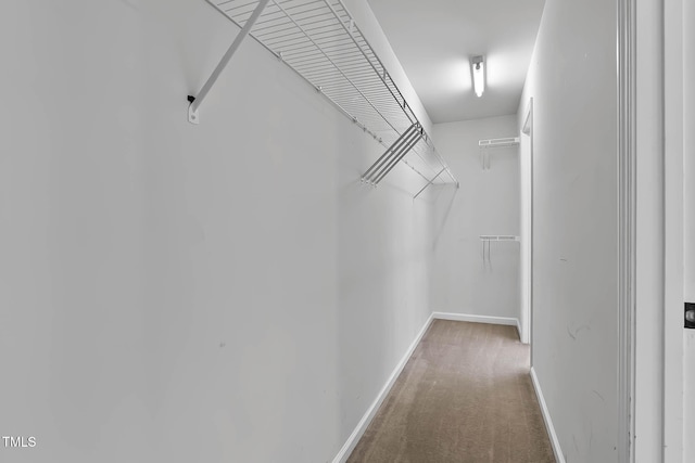 4536 Sugarbend Way, Raleigh, NC 27606 - walk in closet with carpet flooring
