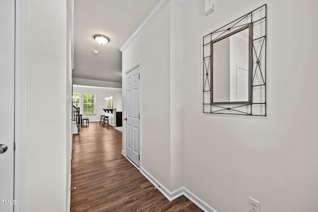 3810 Prince Noah Loop, Wake Forest, NC 27587 - hall featuring dark wood-type flooring and crown molding