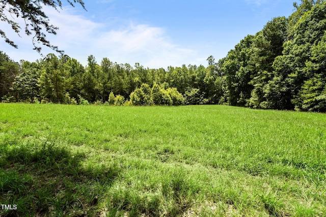 8737 Allison Rd, Cedar Grove, NC 27231 - photo 66