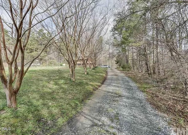 8737 Allison Rd, Cedar Grove, NC 27231 - photo 74
