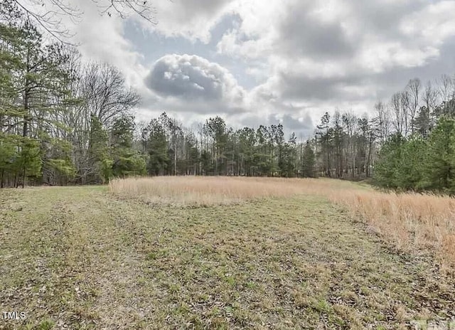 8737 Allison Rd, Cedar Grove, NC 27231 - photo 80