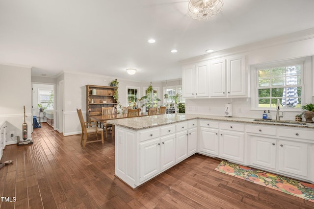 100 Martindale Dr, Youngsville, NC 27596 - kitchen with crown molding, a peninsula, recessed lighting, dark wood-style flooring, and plenty of natural light
