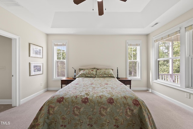 610 Chronicle Dr, Cary, NC 27513 - bedroom featuring light colored carpet, a raised ceiling, and multiple windows