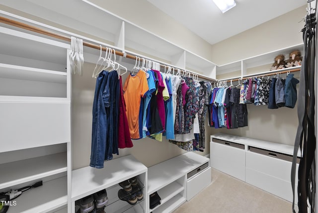 610 Chronicle Dr, Cary, NC 27513 - walk in closet with carpet floors