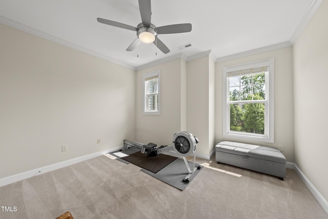 610 Chronicle Dr, Cary, NC 27513 - workout room with crown molding, plenty of natural light, carpet, and ceiling fan
