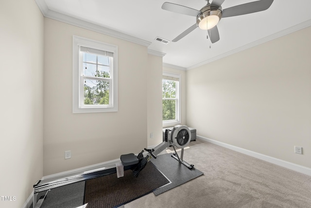 610 Chronicle Dr, Cary, NC 27513 - workout area featuring crown molding, carpet flooring, and ceiling fan