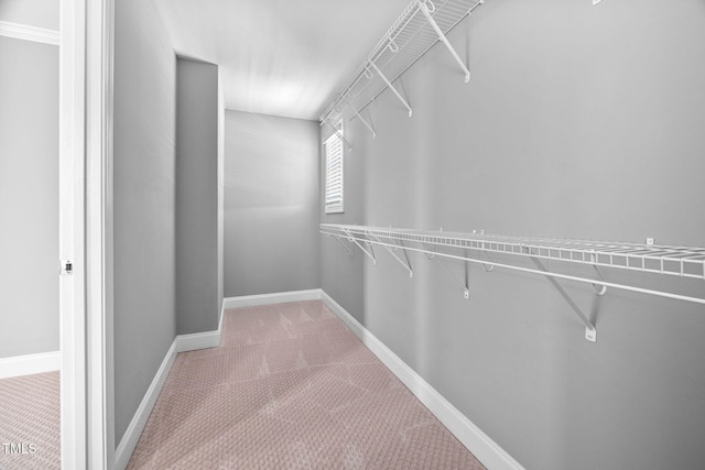 147 Sunfish St, Smithfield, NC 27577 - spacious closet featuring carpet flooring
