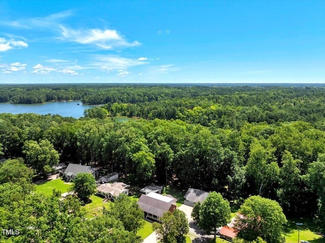 140 Maryland Dr, Manson, NC 27553 - aerial view of a forest and a large body of water