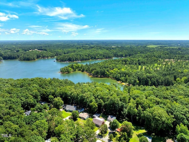 140 Maryland Dr, Manson, NC 27553 - bird's eye view of a heavily wooded area and a large body of water