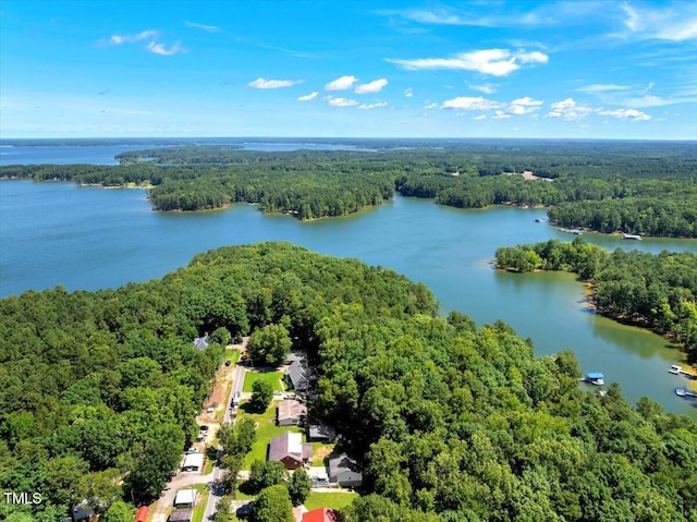 140 Maryland Dr, Manson, NC 27553 - aerial view of a nearby body of water