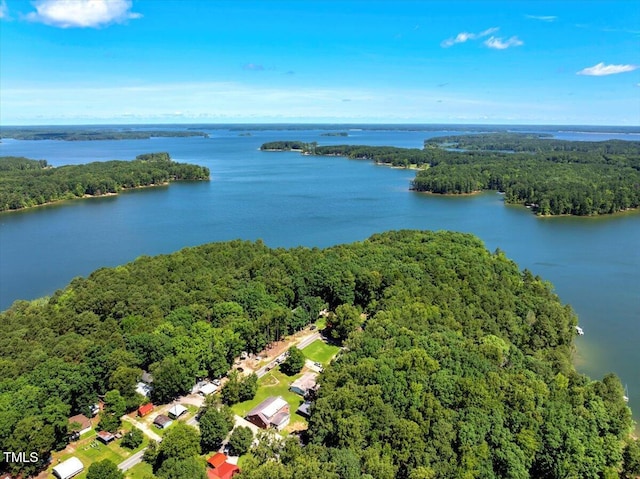 140 Maryland Dr, Manson, NC 27553 - aerial view of a heavily wooded area and a nearby body of water
