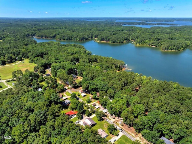 140 Maryland Dr, Manson, NC 27553 - bird's eye view of a heavily wooded area and a large body of water