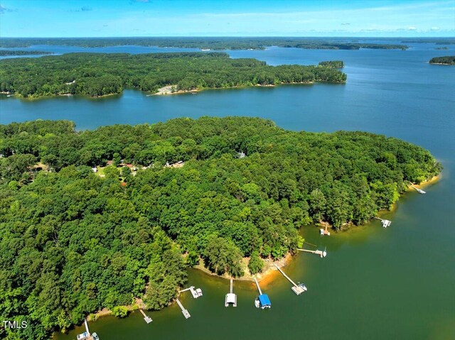 140 Maryland Dr, Manson, NC 27553 - bird's eye view of a forest and a large body of water