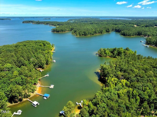 140 Maryland Dr, Manson, NC 27553 - drone / aerial view of a forest and a large body of water