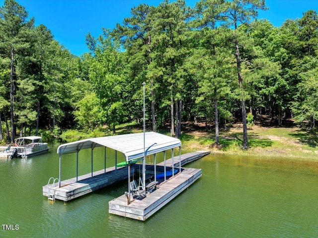 140 Maryland Dr, Manson, NC 27553 - dock area with a water view and a forest view
