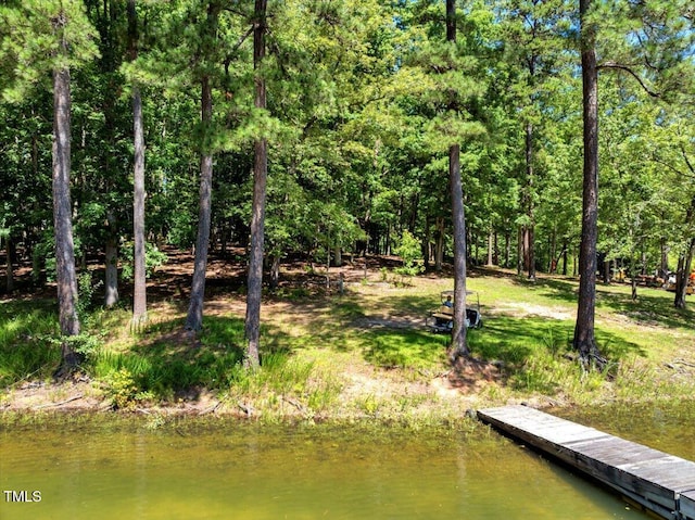 140 Maryland Dr, Manson, NC 27553 - view of dock area