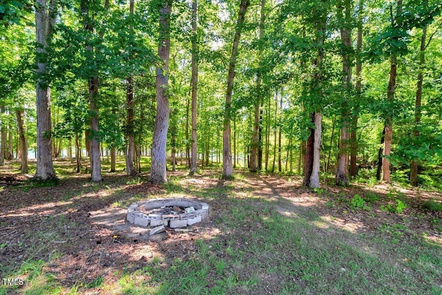 140 Maryland Dr, Manson, NC 27553 - view of yard with a fire pit