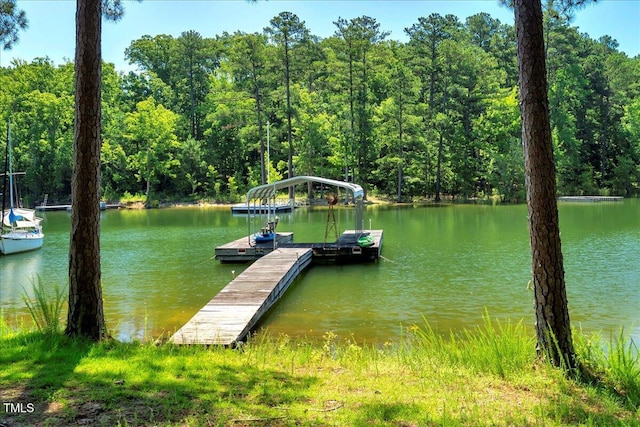 140 Maryland Dr, Manson, NC 27553 - dock with a view of trees and a water view