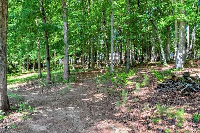 140 Maryland Dr, Manson, NC 27553 - view of wooded area