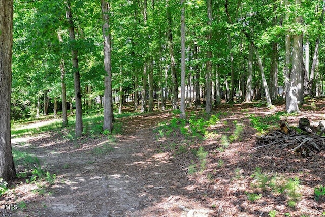 140 Maryland Dr, Manson, NC 27553 - view of nature