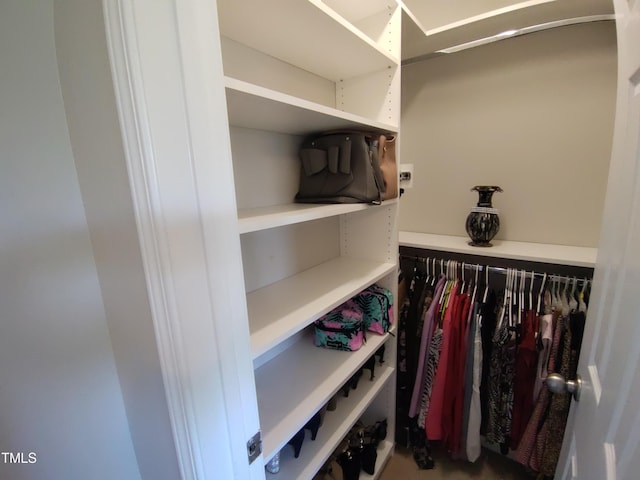 650 Ganyard Farm Way Unit 32, Durham, NC 27703 - view of spacious closet