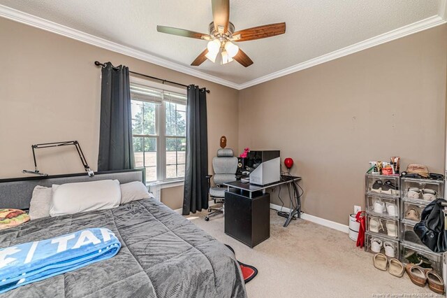 10110 NC-27 Hwy W, Lillington, NC 27546 - photo 30