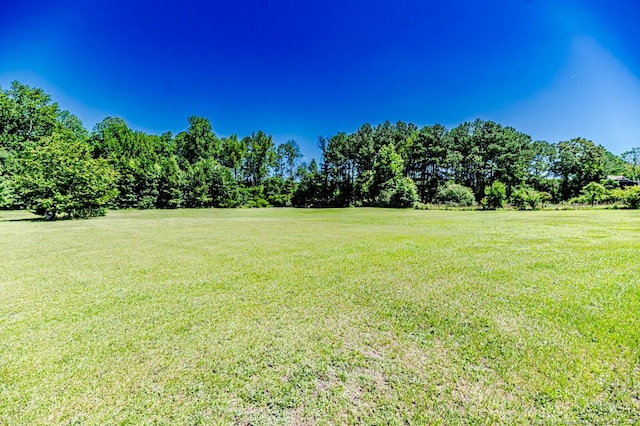 10110 NC-27 Hwy W, Lillington, NC 27546 - photo 38