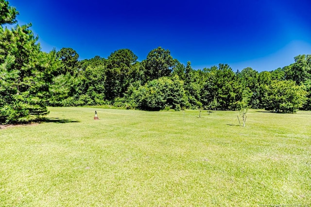 10110 NC-27 Hwy W, Lillington, NC 27546 - photo 39