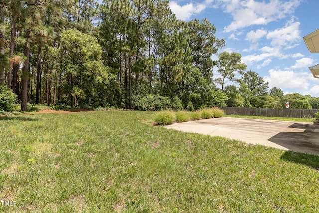 127 Strike Eagle Dr, Broadway, NC 27505 - photo 27