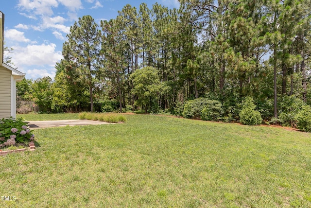 127 Strike Eagle Dr, Broadway, NC 27505 - photo 28