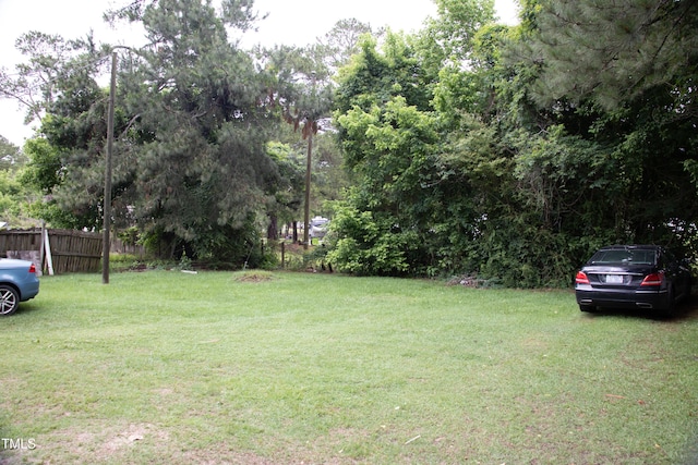 22485 NC-125, Williamston, NC 27892 - view of yard
