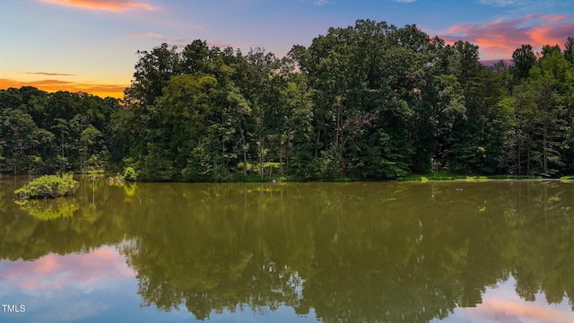 4070 Swannie Coble Rd, Snow Camp, NC 27349 - photo 3