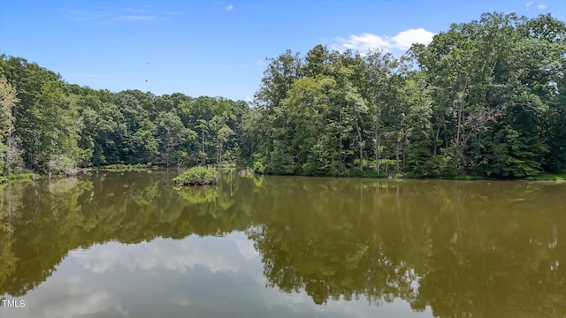 4070 Swannie Coble Rd, Snow Camp, NC 27349 - photo 39