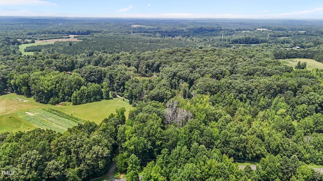4070 Swannie Coble Rd, Snow Camp, NC 27349 - photo 42